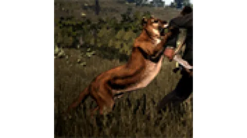 Animal-cougar