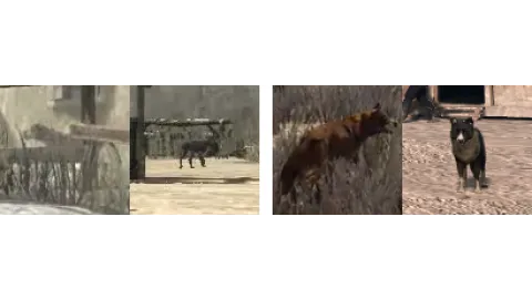 Animal-dog3extras