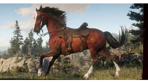 Arabian Horse &amp; Alligator Skin Saddle