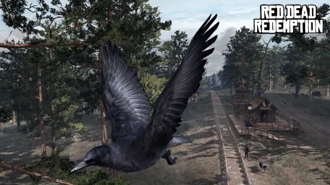 As the crow flies