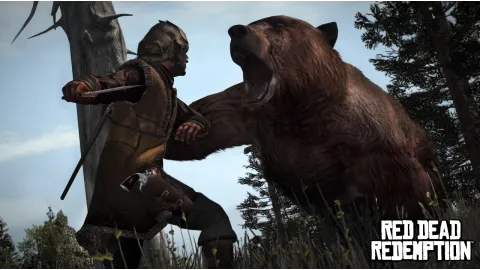 Bear Hands