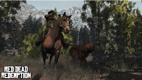 Best not to mess with bears
