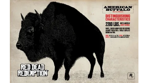Buffalo Info