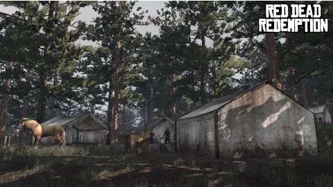 Camp in Tall Trees District