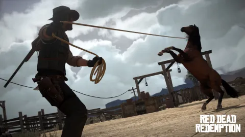 Catching A Horse