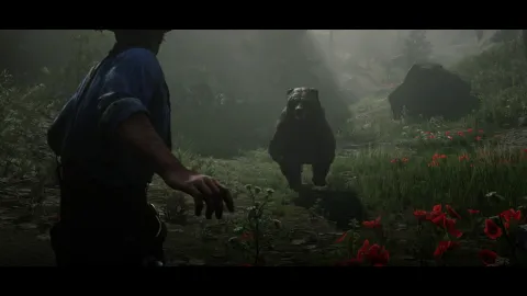 Charging bear