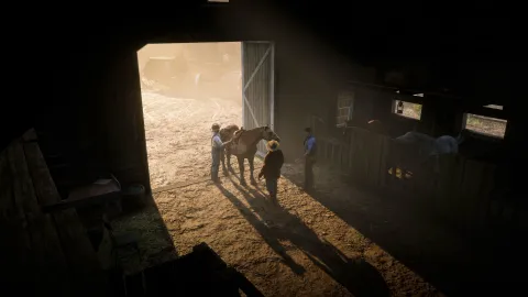 Decent work horse
