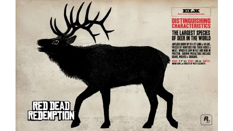 Elk Info