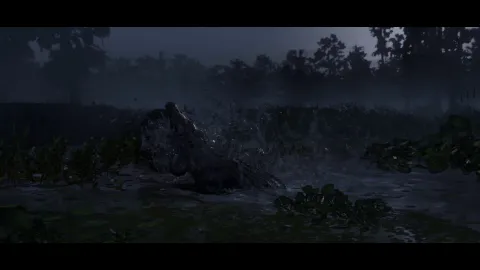 Gator vs hog