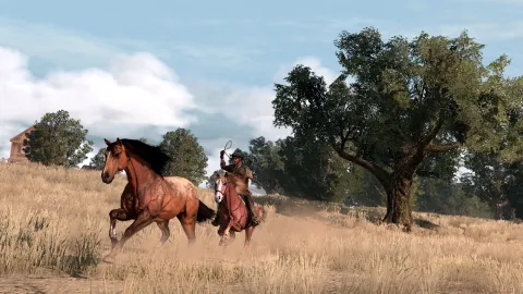 Lasso a new horse 