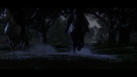 Night ride