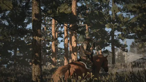 Out In The Woods