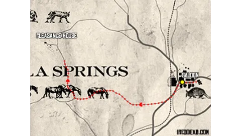 Political Realities in Armadillo Map