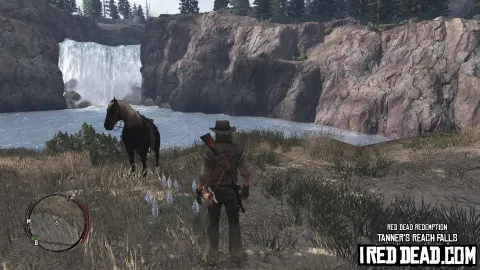 Red Dead Redemption Tanners Reach Falls