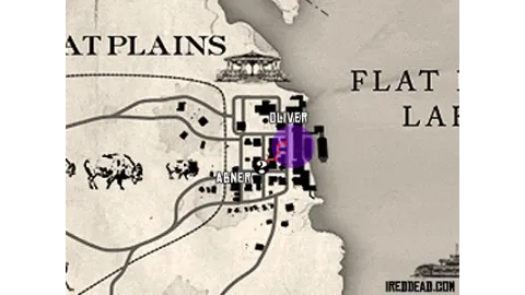 The Prohibitionist Map