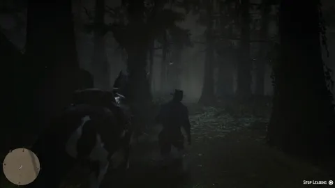 Untamed swamplands