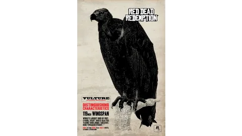 Vulture Info