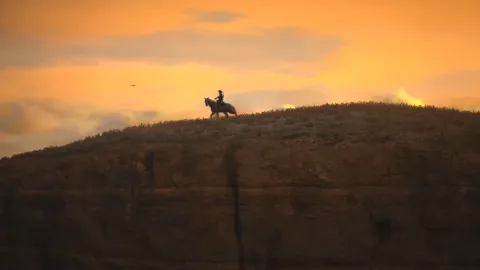 What A View