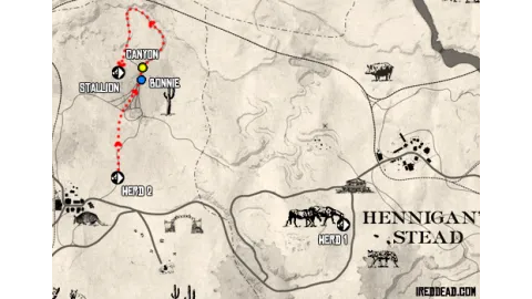 Wild Horses, Tamed Passions Map
