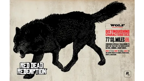 Wolf Info