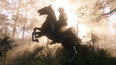 Yeehaw!