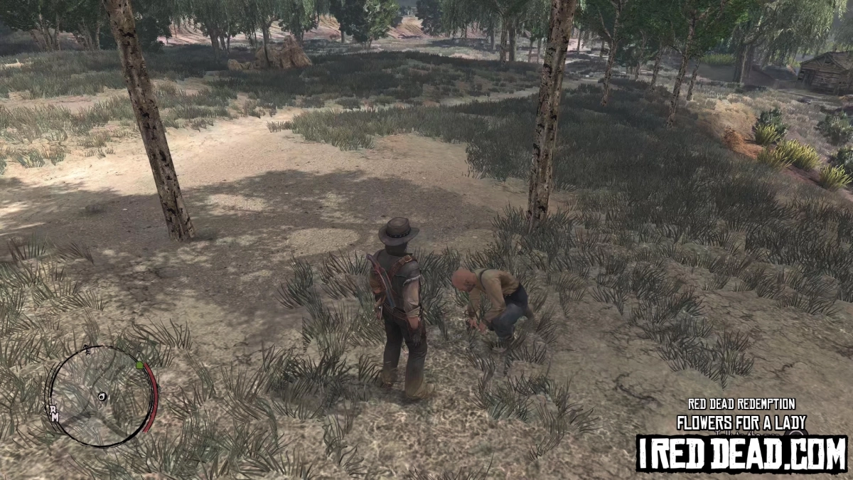 Red Dead Redemption Flowers For A Lady 2