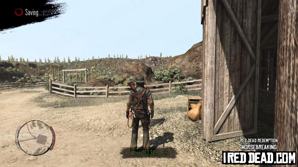 Red Dead Redemption Horsebreaking 10