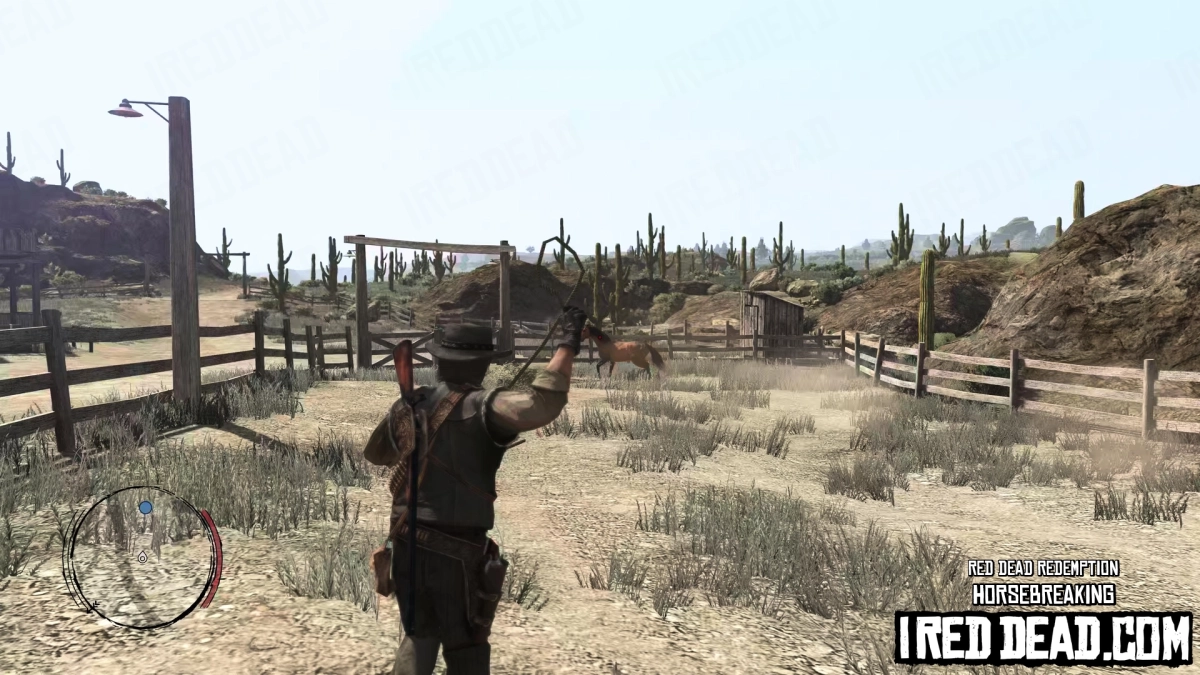 Red Dead Redemption Horsebreaking 5