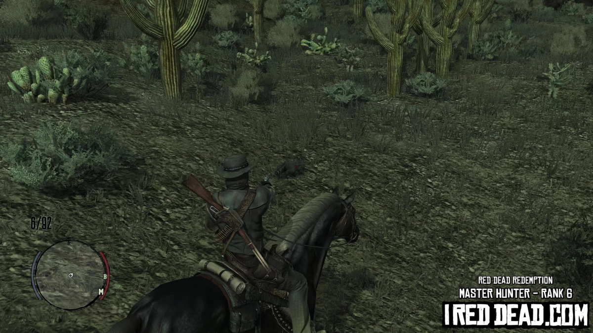Red Dead Redemption Master Hunter Raccoon