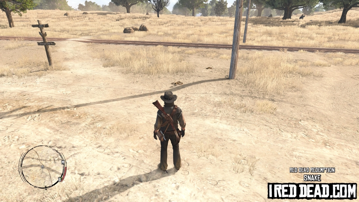 Red Dead Redemption Snake