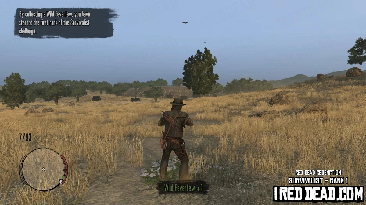 Red Dead Redemption Survivalist Rank 1 Started