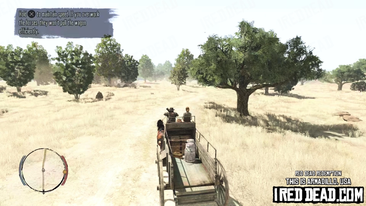 Red Dead Redemption This Is Armadillo, USA 10