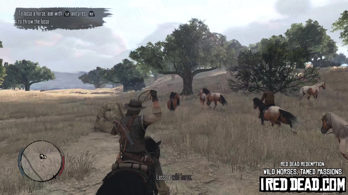 Red Dead Redemption Wild Horses, Tamed Passions 10