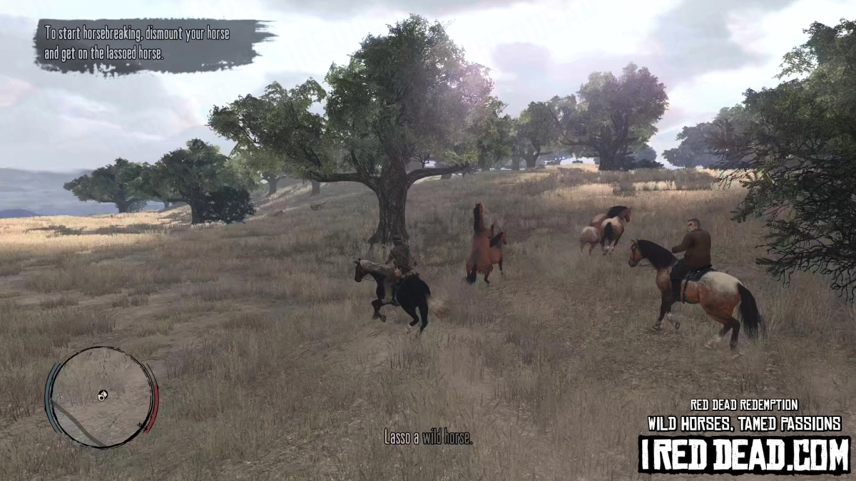 Red Dead Redemption Wild Horses, Tamed Passions 11