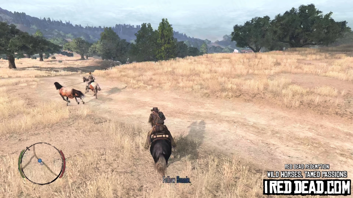 Red Dead Redemption Wild Horses, Tamed Passions 21