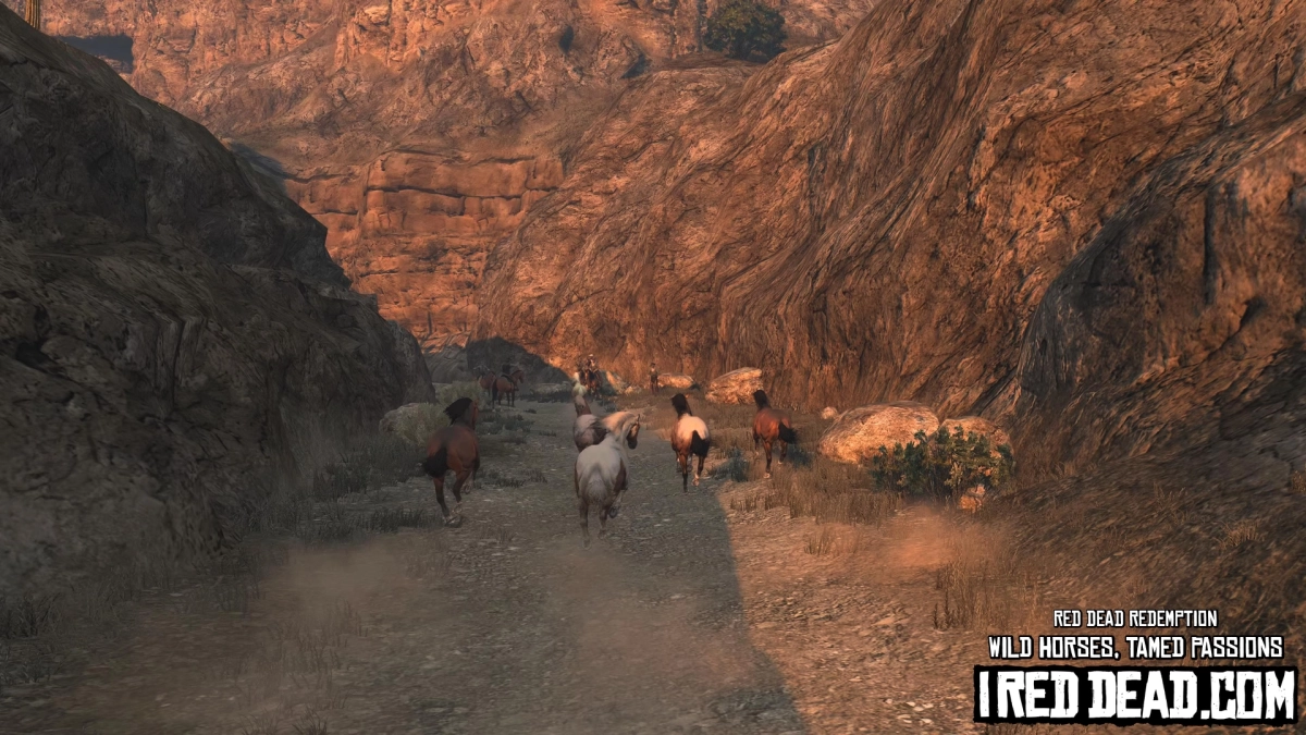 Red Dead Redemption Wild Horses, Tamed Passions 30