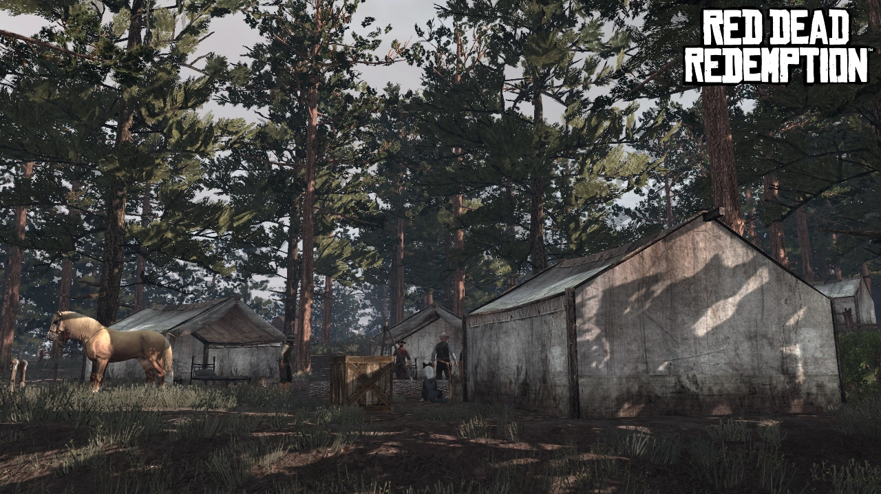 Camp in Tall Trees District