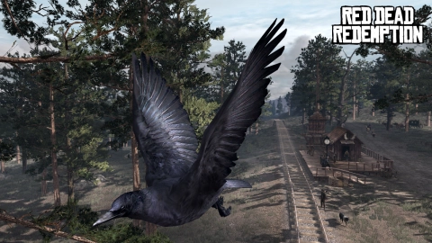 Wildlife and Other Creatures