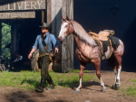 Pimp my horse